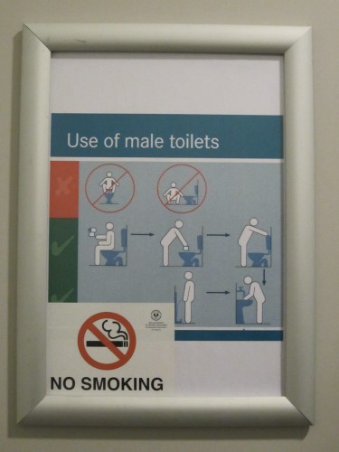 Use of male toilets - Wichtige Hinweise in einem fremden Land