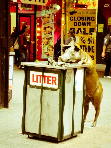 Rundle Mall Pigs